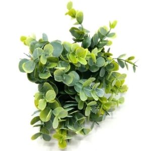 hamvas-zold-pick-eukaliptusz-muanyag-dobosdoboz