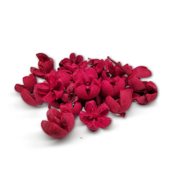 piros-csillagrozsa-termes-dobosdoboz piros-csillagrozsa-termes-dobosdoboz