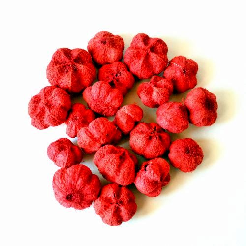 piros-fokhagymatermes-38-gr-dobosdoboz piros-fokhagymatermes-38-gr-dobosdoboz