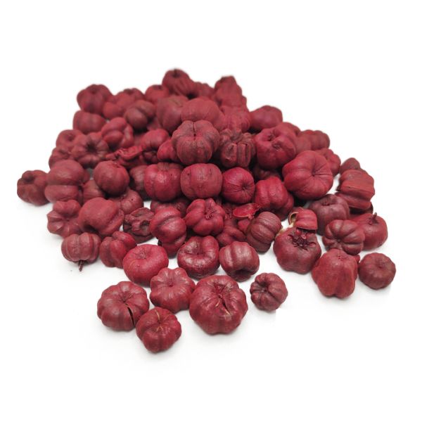 bordo-paranyi-tok-20-g-dobosdoboz-2 Bordó parányi tök 20 gr