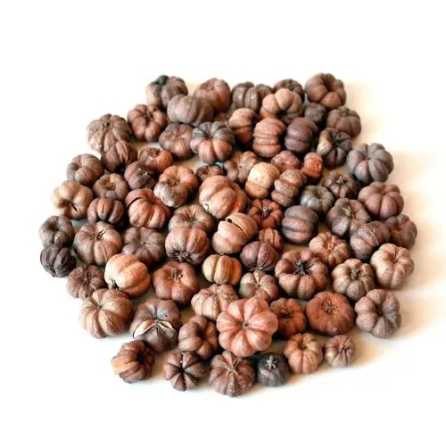 natur-paranyi-tok-20-gr-dobosdoboz natur-paranyi-tok-20-gr-dobosdoboz