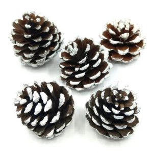 festett-havas-indiai-toboz-80-gr-dobosdoboz