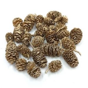 pezsgoarany-eger-indiai-toboz-termés-30-gr-dobosdoboz