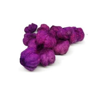 lila-fokhagymatermes-dobosdoboz