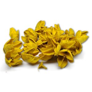 sarga-bakuli-termes-dobosdoboz