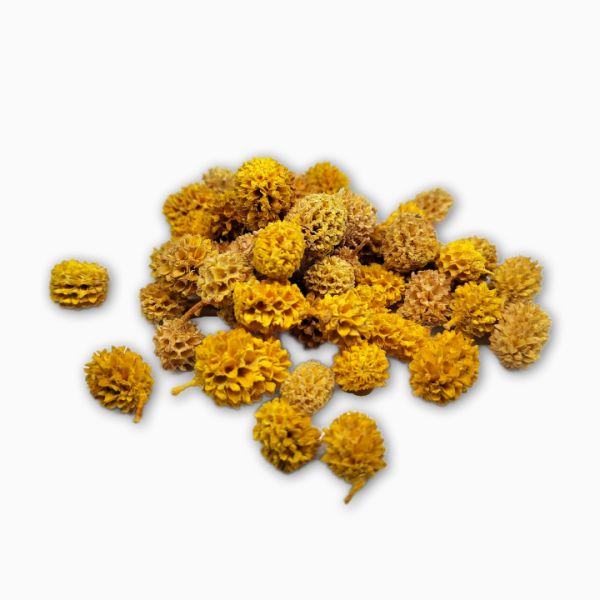 sarga-casuarina-termes-35-g-dobosdoboz sarga-casuarina-termes-35-g-dobosdoboz