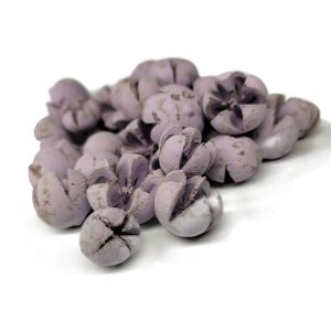 vintage-pasztell-lila-csillagrozsa-termes-dobosdoboz