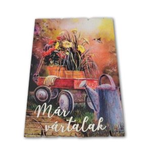 mar-vartalak-talicska-viraggal-dobosdoboz