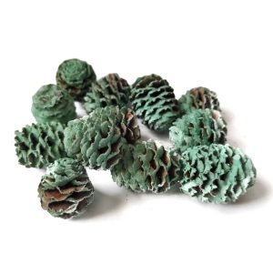 Mentazöld fenyőtoboz kerekded – 40 g, dekortermés, asztaldísz, festett díszítő, virágkötészet,