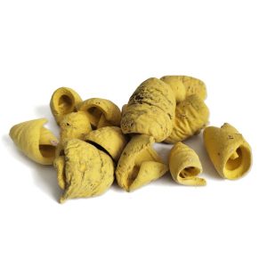 Sárga lali termés – 45 g, virgákötészeti alapanyag, dekorkellék, dekorelem