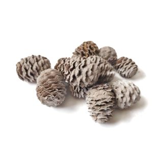 Szürke fenyőtoboz kerekded – 40 g, virágkötészeti dekorelem, dekorelem, dekorkellék, virégkötészet, dekortermés, dekorációs kellék