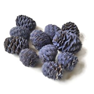 Veri Pery (kékeslila) fenyőtoboz kerekded – 40 g, dekoranyag, kék-lila termés, dekortermés, dekortermék