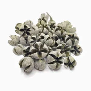 zuzmaras-kekizold-csillagrozsa-termes-dobosdoboz