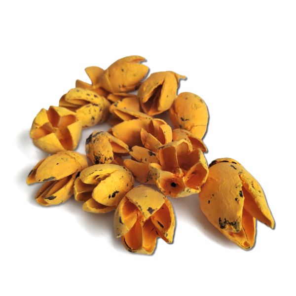 vintage-sarga-bakuli-termes-dobosdoboz Vintage sárga bakuli termés – 45 g, dekoralap, alapanyag, virágkötészet, termés