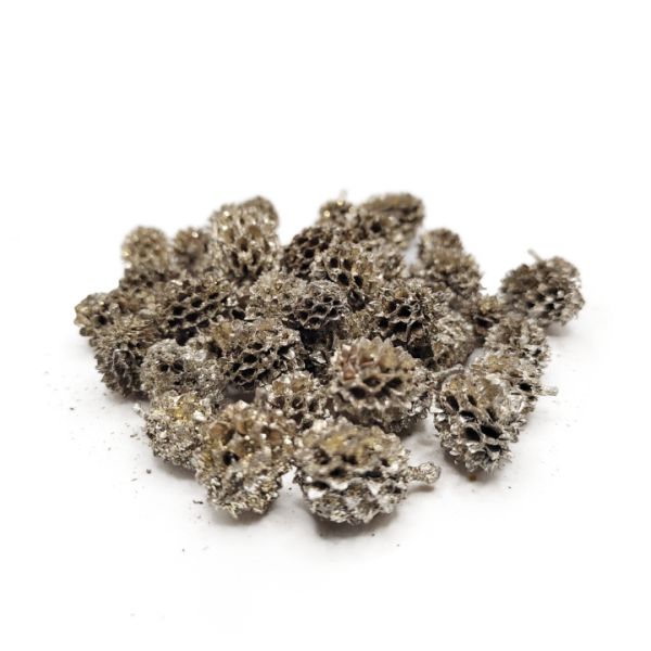 pezsgoarany-casuarina-termes-dobosdoboz Pezsgőarany casuarina termés – 35 g, karácsonyi termés, téli termés, dekorkellék, dekorelem, díszítőelem