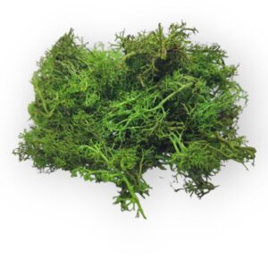 Középzöld kócos moha (zuzmó) 25–27 g