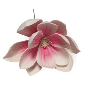 Nagy méretű magnólia virágfej – rózsaszín-fehér, 1 db, élethű, real touch, élethű virág, dekorelem, virágkötészet