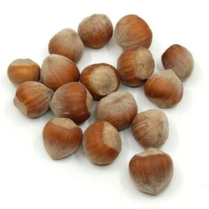 mogyoro-termes-40-g