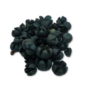 Éjkék (sötét áfonya) csillagrózsa termés – 45 g