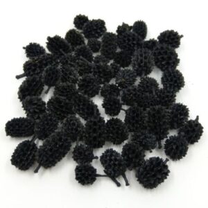 fekete-casuarina-termes-45-g-dobosdoboz