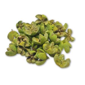 Grincszöld csillagrózsa termés – 45 g