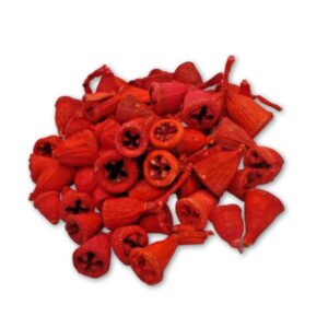 Pirosas narancs eukaliptusz gomb kicsi – 40 g