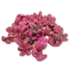 Vintage pink csillagrózsa termés – 45 g