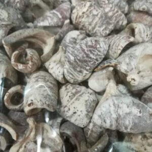 zuzmaras-lali-termes-45-g-dobosdoboz